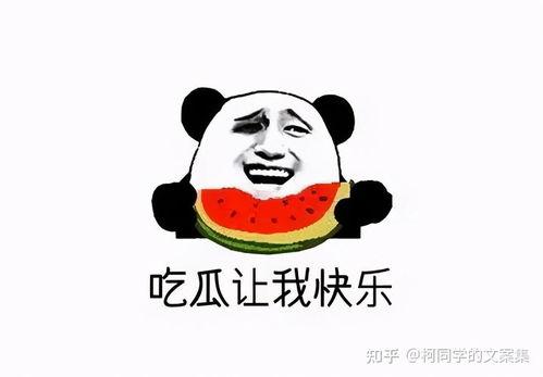 网红吃瓜文案搞笑,笑料横飞，一场视觉盛宴等你来！