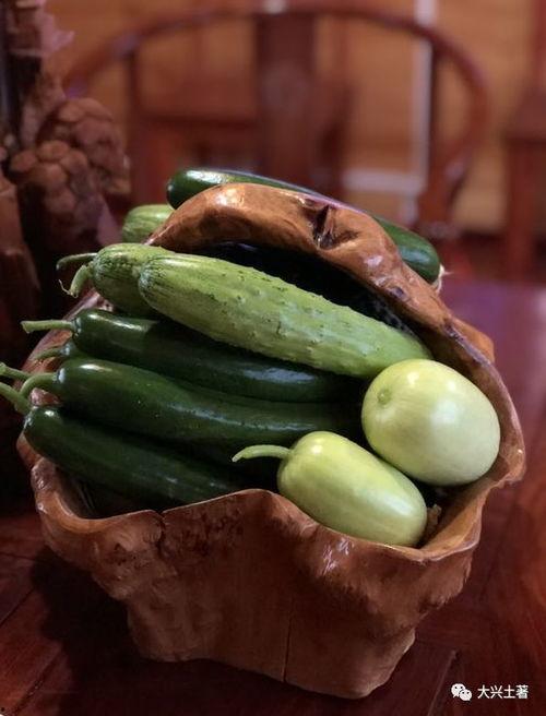 东北吃瓜网红叫什么,揭秘东北美食界的“瓜王”传奇