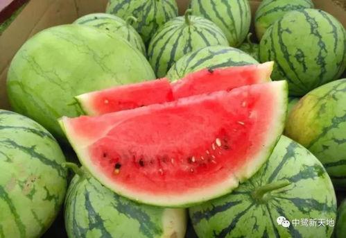 吃瓜 官网,带你领略网络娱乐新风向