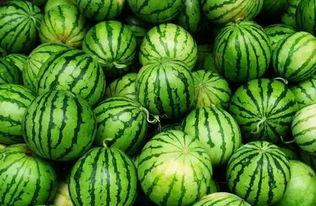 澄海网红吃瓜群微信,揭秘网络红人背后的故事与八卦