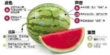 濮阳网红吃瓜群微信