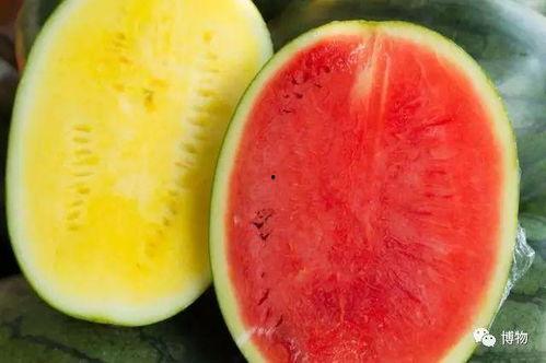 高端网红吃瓜视频大全下载,高清视频大全下载攻略