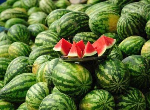 高端网红吃瓜视频大全下载,高清视频大全下载攻略