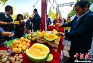 吃瓜趣官网,揭秘娱乐圈幕后故事，带你畅游八卦海洋