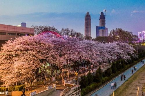 吃瓜爆料抖音网红大川,吃瓜爆料背后的故事与真相