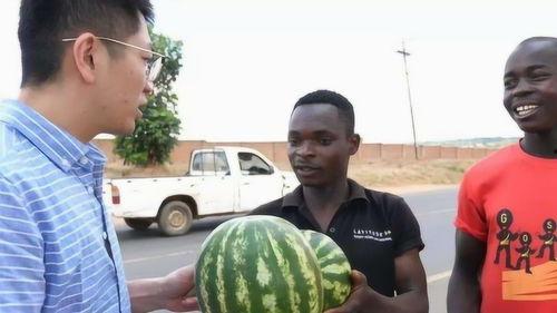 吃瓜网为什么不能观看,吃瓜网观看限制背后的真相