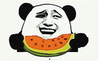 吃瓜网啥意思,网络热议背后的真相与趣味