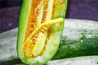 吃瓜的网红叫啥来,揭秘吃瓜网红的爆红之路