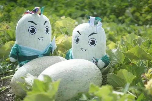 网红小羊吃瓜,揭秘娱乐圈幕后故事