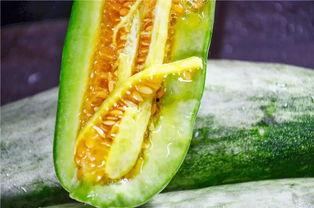 康县网红吃瓜视频,揭秘当地美食与风土人情