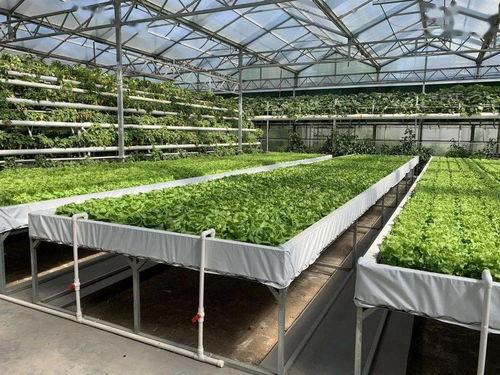 10月网红吃瓜事件视频,盘点那些引发热议的瞬间