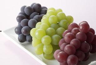 吃瓜葡萄网,带你领略网络世界的酸甜苦辣