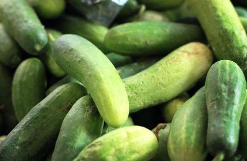 每日吃瓜网红大赛,每日吃瓜网红大赛精彩回顾