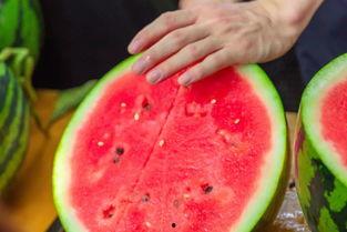 吃瓜姓韩的网红名字大全