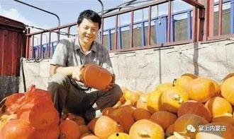 内蒙古拉拉圈网红吃瓜事件