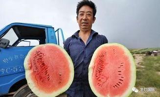 吃瓜算网暴吗,网暴的边界在哪里？  第2张