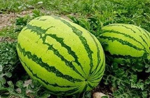 瓜闻天下吃瓜网,揭秘娱乐圈最新热点事件  第3张