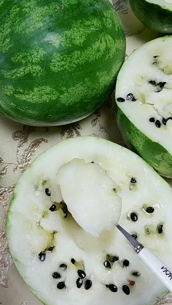 网红东北吃瓜最新视频 第1张 网红东北吃瓜最新视频 第1张