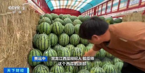 网红吃瓜群资源群,揭秘娱乐圈幕后资源交流圈  第3张