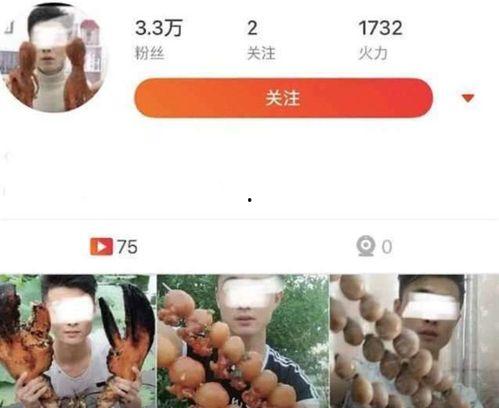 网红吃瓜旅游是真的吗知乎,真相还是炒作？  第1张