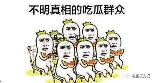 吃瓜群众网红视频,揭秘娱乐圈幕后故事  第3张