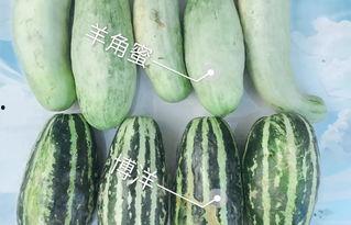 吃瓜网红 图片大全,盘点网络红人美食瞬间  第3张