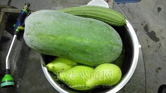 今日吃瓜热门大瓜网,揭秘网络热议事件背后的真相  第2张