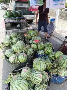广西柳州网红吃瓜事件,一场网络狂欢背后的争议与反思 第1张 广西柳州网红吃瓜事件,一场网络狂欢背后的争议与反思 第1张
